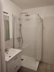 uma casa de banho com um chuveiro e um lavatório. em Sweet home em Lille