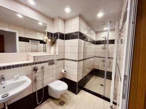 a bathroom with a shower and a toilet and a sink at Apart-Hotels-Sofia, AHS in Sofia