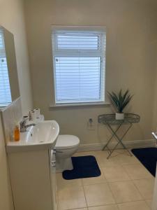 a bathroom with a sink and a toilet and a window at Carrick - Town Centre Apartment in Carrick on Shannon +27 photos
