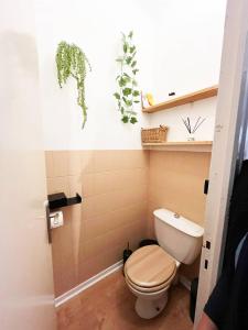 uma casa de banho com WC e algumas plantas na parede em Merveilleux appartement style nature proche centre ville em Collioure