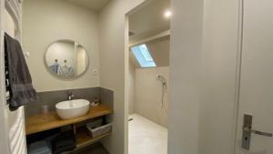 La salle de bains est pourvue d'un lavabo, d'un miroir et d'une douche. dans l'établissement LA MAISON DE TRIBOULET Chambres et table d'hôtes -Amboise-, à Pocé-sur-Cisse