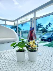 dwa kieliszki do wina i roślina na stole w obiekcie Apartamento en Playa Coconut @drvacationsrental w mieście Puerto Palenque