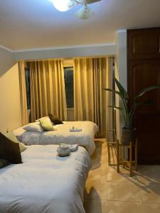 a bedroom with two beds and a potted plant at Prince Hospedaje in Ayacucho