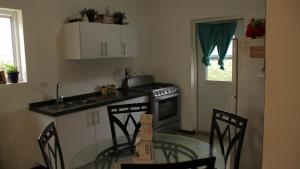 A kitchen or kitchenette at Stenen Koraal Piedra Dushi Resort
