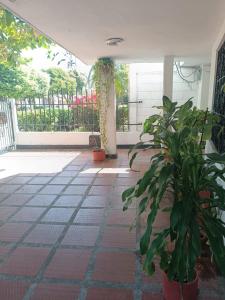 een hal met planten in potten op een tegelvloer bij Beach Airport House in Cartagena