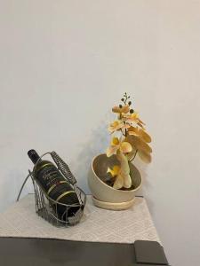 une bouteille de bière et une plante en pot sur une table dans l'établissement Balai ni Atan - relaxing studio unit near airport, à General Santos