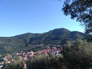 vista para uma cidade nas montanhas em 1906 em Olevano sul Tusciano