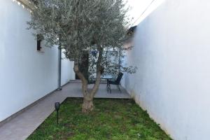 Zdjęcie z galerii obiektu Apartments Krolo w mieście Zadar