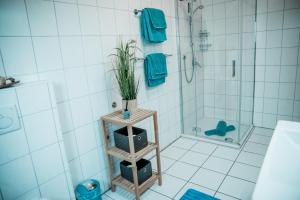 ein Badezimmer mit einer Dusche und einer Pflanze auf einem Regal in der Unterkunft Haus Avallon in Cochem
