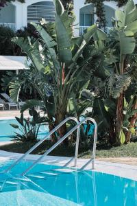 a resort swimming pool with a palm tree next to a swimming pooliterator at Prinsotel La Caleta in Ciutadella