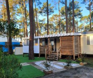 Mobil home les dunes de contis "domino"
