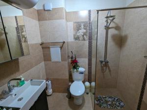 uma casa de banho com um chuveiro, um WC e um lavatório. em Business and Leisure apartments in Mladost 2 with FREE Garage em Sófia