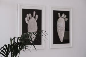 Fotografie z fotogalerie ubytování Prinsotel La Caleta v destinaci Ciutadella + 37 fotografií