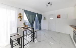 una cucina con un tavolo e sedie in una stanza di Amazing Apartment In Petrcane With Wifi a Petrcane