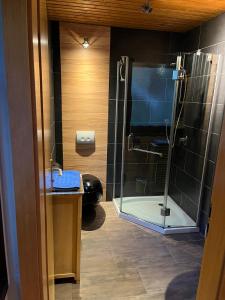 a bathroom with a shower and a sink and a toilet at Ferienhaus 32 in Kinding