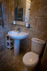 La salle de bains est pourvue de toilettes et d'un lavabo. dans l'établissement Cosy Modern Flat (NEC/BHX Stays), à Marston Green