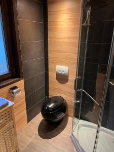 a shower with a black seat in a bathroom at Ferienhaus 32 in Kinding
