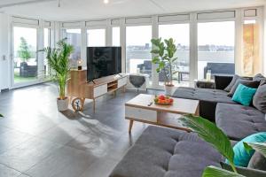 sala de estar con sofá y TV en Das Penthouse - Jacuzzi - BBQ - Dachterrasse en Karlsruhe