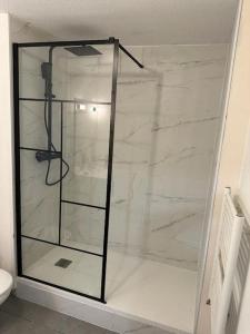 a glass shower in a bathroom with a toilet at Le Cocoon Quatre Pavillons Lormont in Lormont