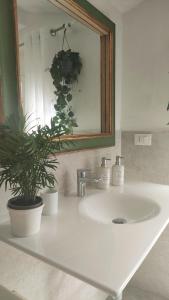 lavabo con espejo y maceta en Agritur Cantina Romanese en Levico Terme