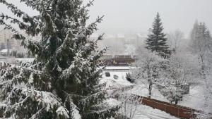 Το Central Apartament Predeal Nr 7 τον χειμώνα