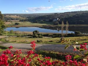 un lago en medio de un campo con flores en Waterryk Eco Guest Farm, en Stilbaai