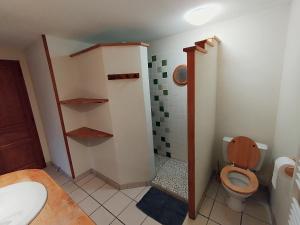 un baño con inodoro y ducha en Gîte de la Barlière, en Secondigny 3 fotos más