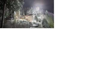 a picture of a house in the middle of a forest at VILA DOBRU in Slănic-Moldova