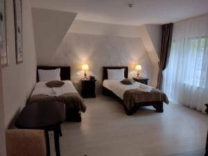 a hotel room with two beds and a window at VILA DOBRU in Slănic-Moldova