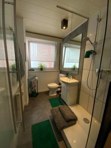 a bathroom with a shower and a toilet and a sink at Lifestyle Apartments - CityLoft in Coburg