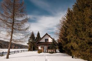 a small house in the snow with trees at Na kwietnej łące - chata w Bieszczadach wysokich in Wetlina