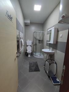 y baño con ducha, aseo y lavamanos. en Gondola Studio Brzeće Kopaonik en Brzeće