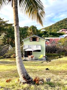 uma palmeira em frente a uma casa verde em 971C - "Ti Calebasse" an atypical cottage em Terre-de-Bas