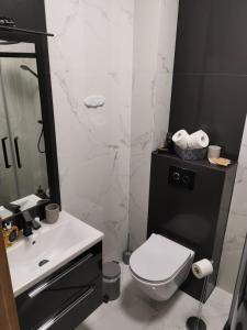 uma casa de banho com um WC, um lavatório e um espelho. em Aquarius Baltico Apartment em Ustka