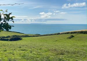 a green field with the ocean in the background at Greencliff Farm - Boatlake Barn in Abbotsham