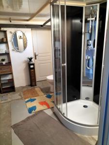 a bathroom with a shower and a toilet at Studio très calme 5mn VICHY in Bellerive-sur-Allier