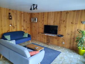 a living room with a blue couch and a tv at Appartement tout confort , centre Loudenvielle in Loudenvielle