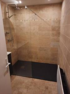 a shower with a glass door in a bathroom at Appartement tout confort , centre Loudenvielle in Loudenvielle