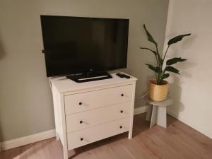 a television on top of a dresser with a potted plant at Ferienwohnung in der Natur in Ober-Hilbersheim