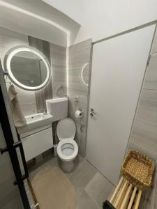 uma casa de banho com um WC, um lavatório e um espelho. em Apartment Begonia em Sarajevo