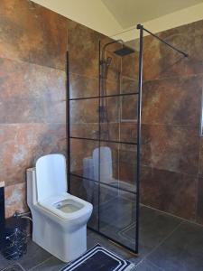 a bathroom with a toilet and a shower at Luxos Villa in Ferizaj