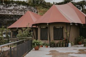 uma tenda está montada com plantas e flores em kMah@SomerMansion em Tanah Rata