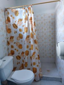 a bathroom with a toilet and a shower curtain at HOTEL EL VAQUIANO in Tauramena