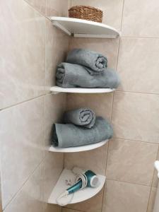 a bathroom with three shelves with towels and a toothbrush at Lumineux appartement sous les toits à Pey Berland in Bordeaux