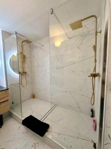 La salle de bains est pourvue d'une douche avec une porte en verre. dans l'établissement Appartement cosy de standing, à Mondonville