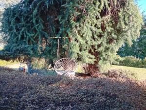 a swing hanging from a tree in a yard at Villa Azalea in San Fermo della Battaglia