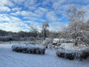 un campo cubierto de nieve con dos bancos y una valla en Stajnia Lipowo 45, en Lipowo