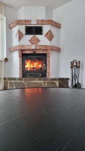 a table in front of a fireplace in a room at Wohnen auf Zeit - perfekt für Grenzgänger, Wochenend-Heimkehrer und Berufsreisende in Schwörstadt