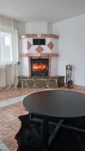 a living room with a table and a fireplace at Wohnen auf Zeit - perfekt für Grenzgänger, Wochenend-Heimkehrer und Berufsreisende in Schwörstadt