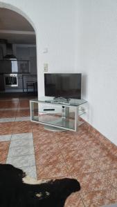 a black dog laying on the floor in front of a television at Wohnen auf Zeit - perfekt für Grenzgänger, Wochenend-Heimkehrer und Berufsreisende in Schwörstadt